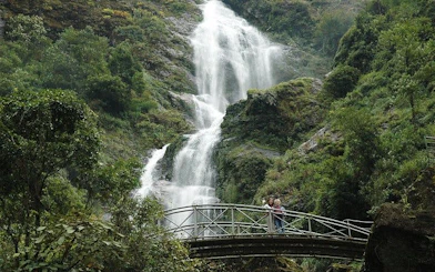 Silver Waterfall cascading behind a bridge surrounded by lush greenery.
