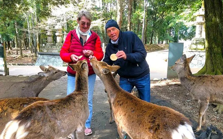 Tourists feeding deer at Nara Deer Park, Japan, surrounded by trees and stone lanterns.