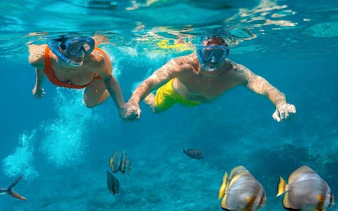Snorkelers exploring coral reef with tropical fish in Hurghada during scuba diving trip.