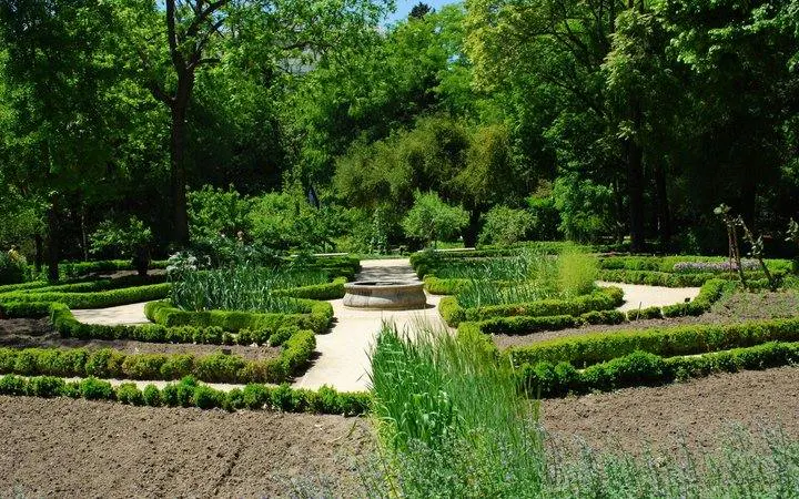 Real Jardín Botánico Madrid garden path with lush greenery and manicured hedges.