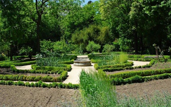 Real Jardín Botánico Madrid garden path with lush greenery and manicured hedges.