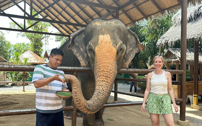 Man feeding elephant at Samui Elephant Home Nursery.