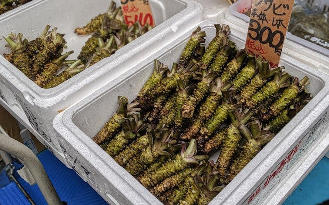 tsukiji fish market guided walking food tour-1