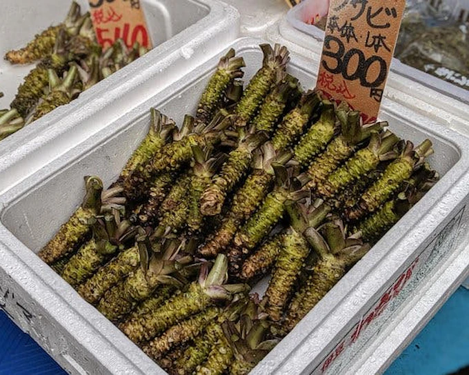 Tsukiji Fish Market Guided Walking Food Tour