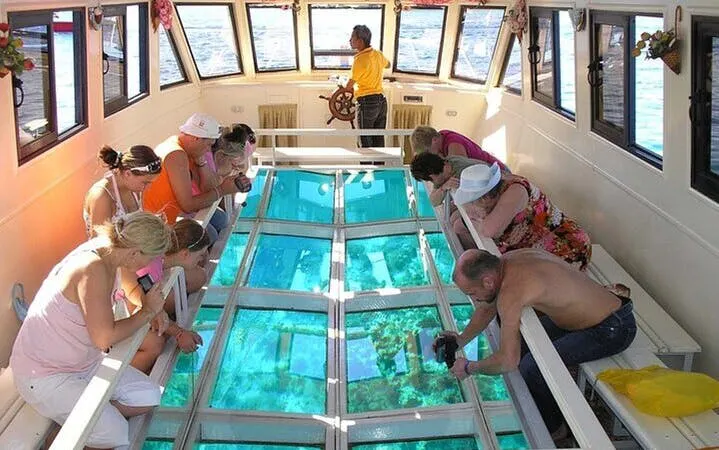 Water Skiing with Glass Boat Viewing and Transfer–Sharm El Sheikh Image 10