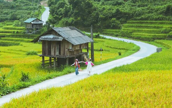 Two people walking on a path through rice terraces in Muong Hoa Valley, Sapa.