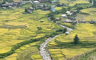 Rice terraces and village in Sapa, Vietnam, with a stream running through the fields.