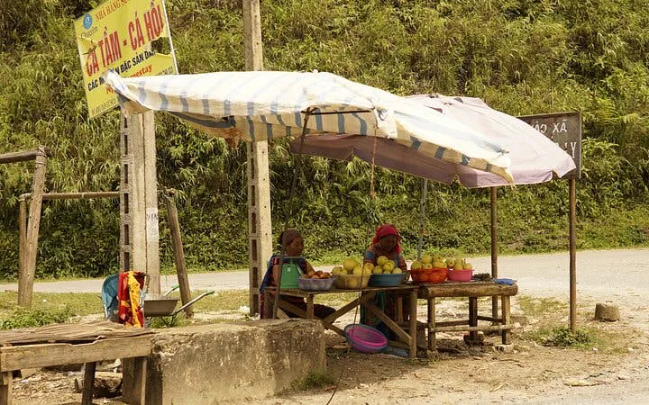 Market stall with fruit vendors under a canopy on Bac Ha Market day trip route from Sapa.