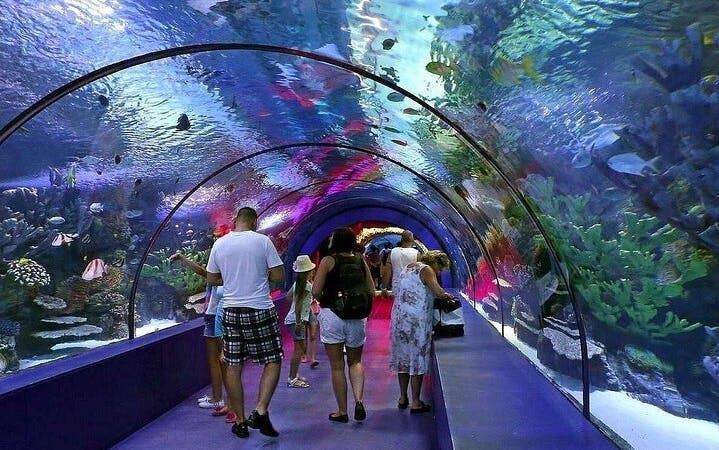 side aquarium and fun park tour all inclusive with hotel pickup-5
