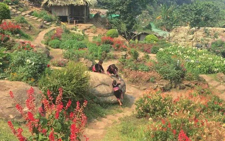 Hmong children playing in a colorful garden at a hill tribe village near Doi Suthep Temple, Chiang Mai.