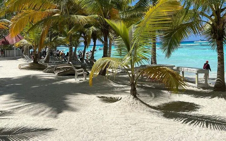 Beach with palm trees and lounge chairs on Saona Island, Punta Cana, near turquoise water.