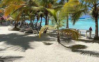 Beach with palm trees and lounge chairs on Saona Island, Punta Cana, near turquoise water.