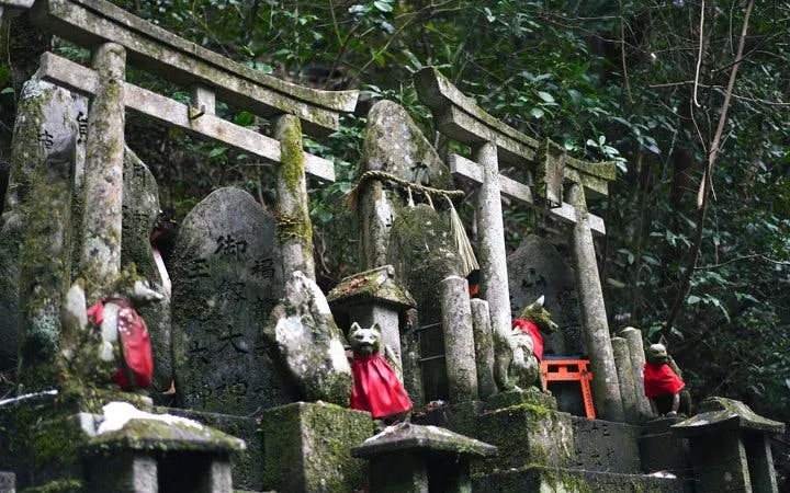 fushimi inari – tur til skjulte stier (mulighet for privat tur)-8