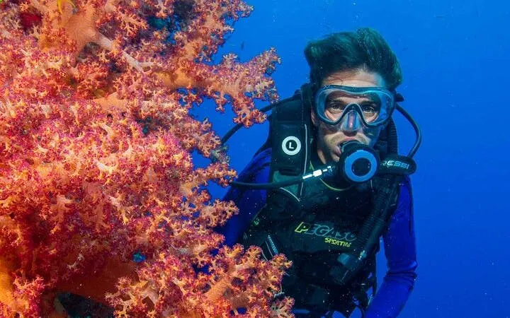 Diver exploring vibrant coral reef during Tiran Island snorkeling trip, Sharm El Sheikh.