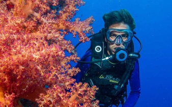 Diver exploring vibrant coral reef during Tiran Island snorkeling trip, Sharm El Sheikh.