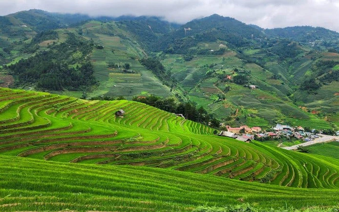 Terraced rice fields in Mu Cang Chai, Vietnam, with distant village and mountains.
