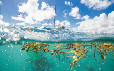 Catamaran on turquoise water with snorkelers and floating bar, Punta Cana.