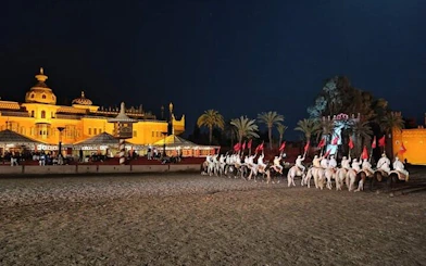 Horsemen performing at Chez Ali Folklore Show, Marrakesh.