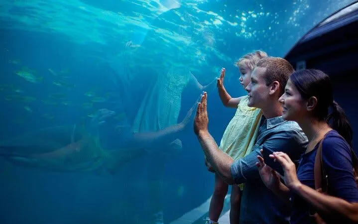 tur til antalya aquarium & fun park – alt inkludert med henting på hotellet-7