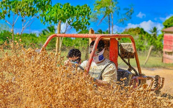 Punta Cana Jungle Buggy Guided Tour with Cenote Swim, Macao Beach, Organic Tastings, and Resort Transfers