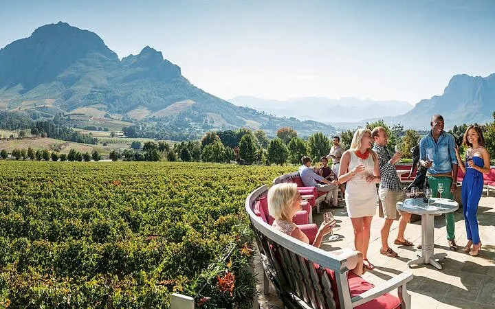 vintur i cape winelands med vinsmaking, osteservering, lunsj og henting på hotellet-6