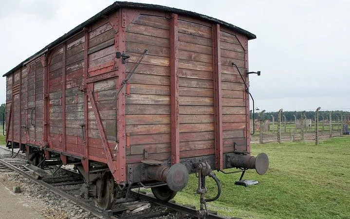 Krakow: Auschwitz-Birkenau Shared English Tour and Transfer