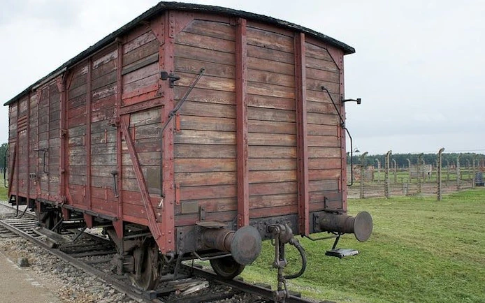Krakow: Auschwitz-Birkenau Shared English Tour and Transfer