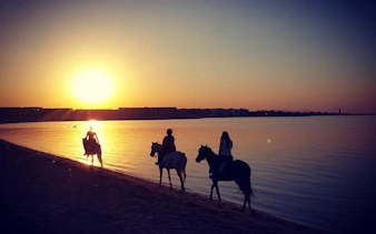 Horseback riders on the beach at sunset, Red Sea, Hurghada.