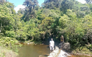 Man standing on stone path by a river in lush Sapa forest during a motorbike tour.