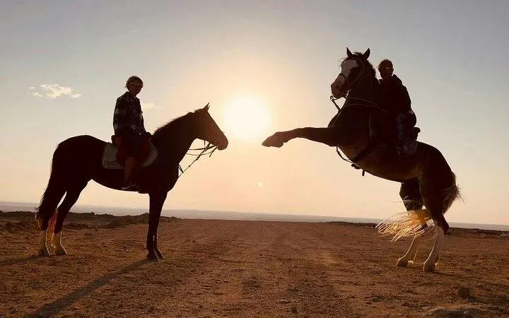 Horseback riders in the desert at sunset, Sharm El Sheikh tour.