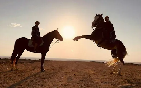 Horseback riders in the desert at sunset, Sharm El Sheikh tour.