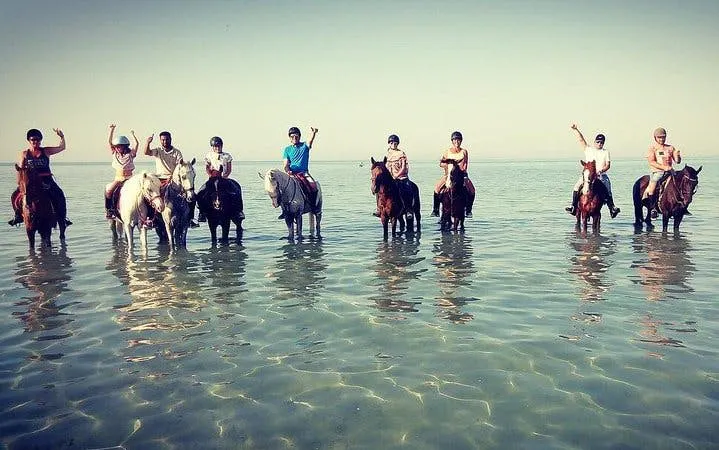 Horseback riders in the Red Sea near Hurghada, enjoying a beach and water experience.