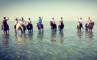 Horseback riders in the Red Sea near Hurghada, enjoying a beach and water experience.