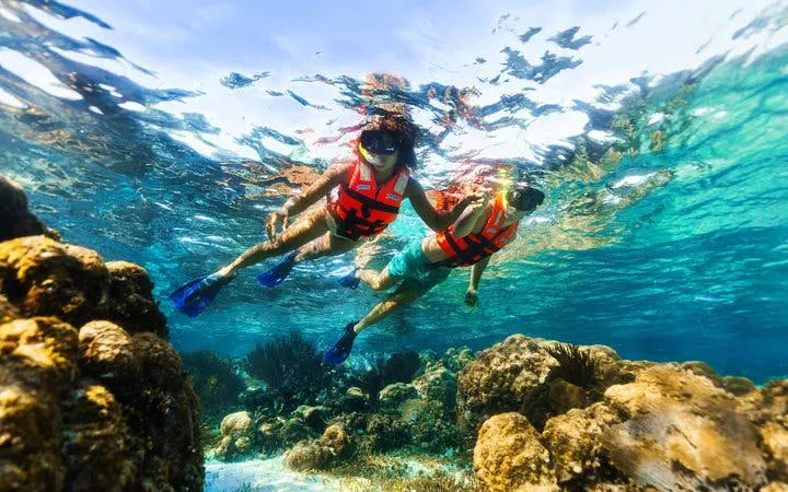 Snorkelers exploring coral reef in America’s largest reef.