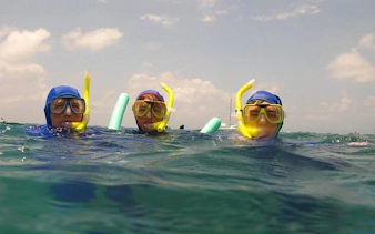 cape peninsula private tour with guided seal snorkeling at duiker island-3