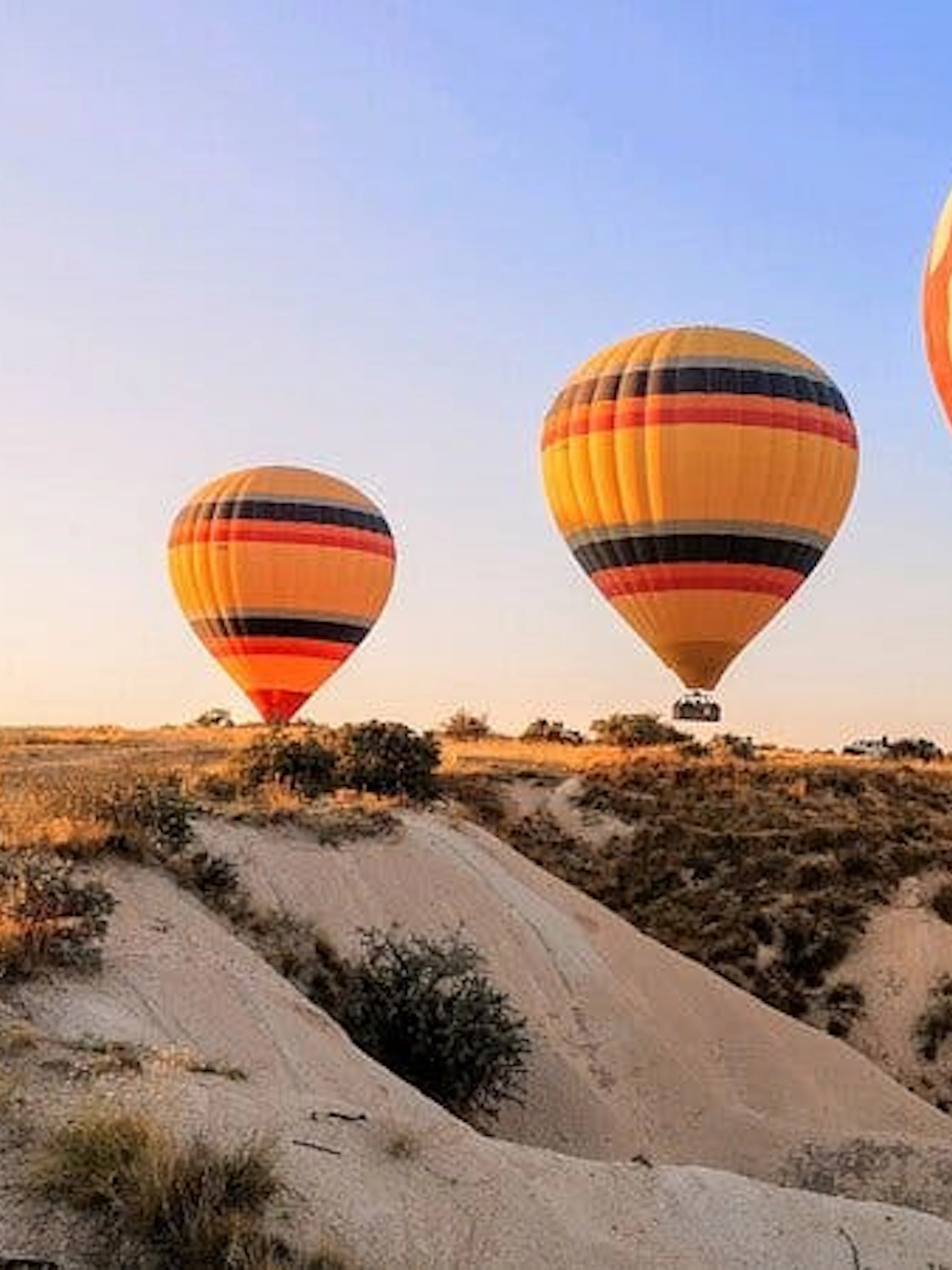 Camel ride in Cappadocia with hot air balloons at sunrise.