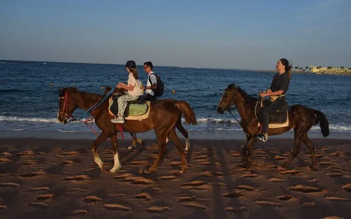 Horseback riders on a beach at sunrise near the Red Sea in Hurghada.