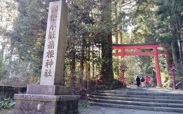 Hakone Guided Tour of Scenic and Cultural Landmarks with Multi-Transport Exploration Image 10