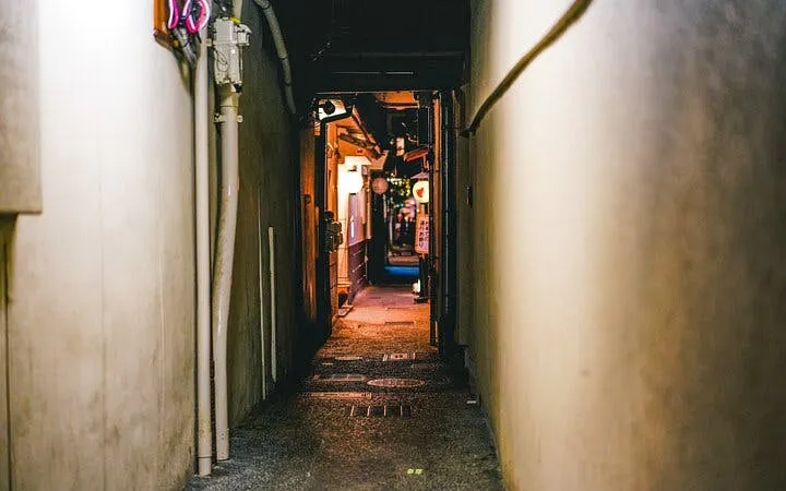 lokale matopplevelser i kyoto og tur til hemmelige barer i gion-7