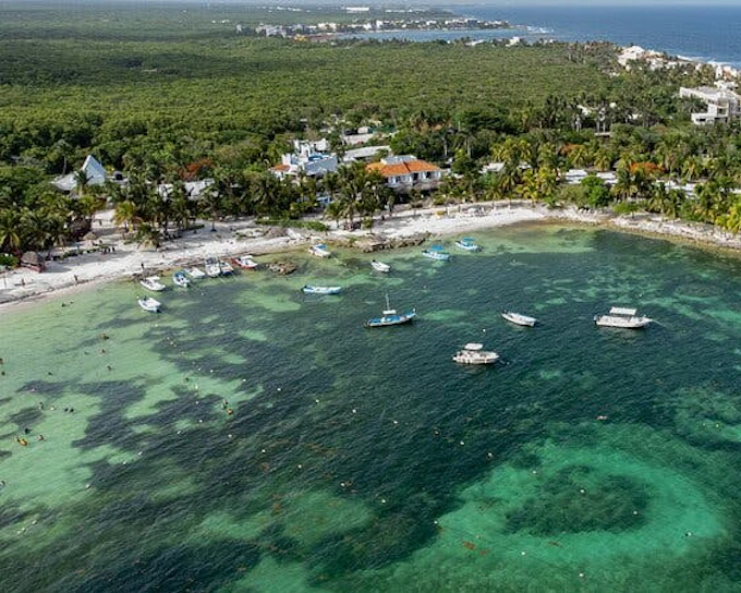 Akumal Bay Sea Turtle Snorkeling Guided Tour with Beach Free Time (Product 52478)