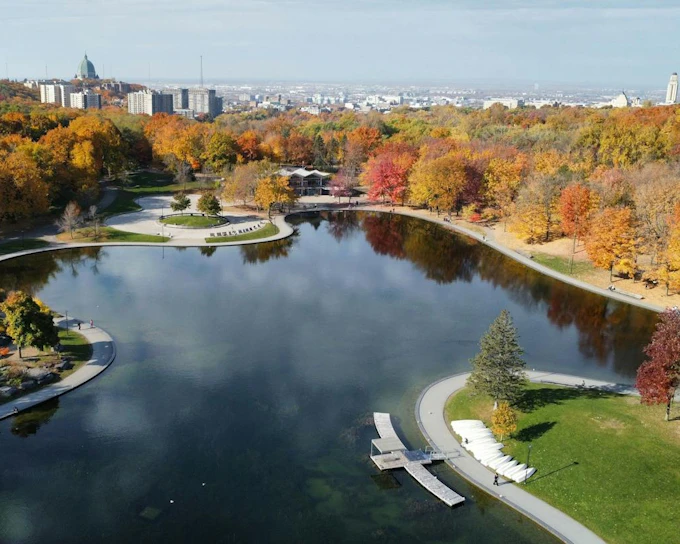 Montreal Mount Royal Self-Guided Audio Walk: Kondiaronk Lookout, the Cross and Beaver Lake