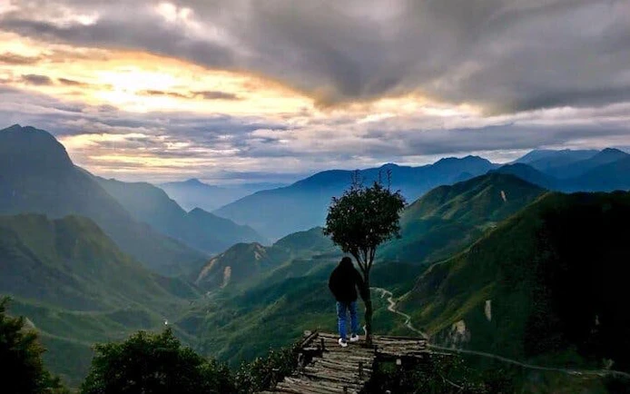 Sapa mountain view with a lone tree and winding road at sunset.