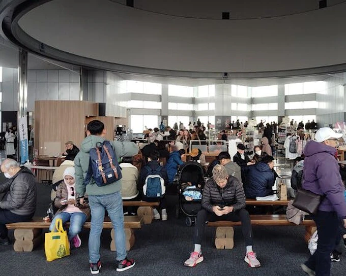Tokyo Shinjuku and Shibuya Guided Walking Tour with In-Tour Transportation and City Highlights