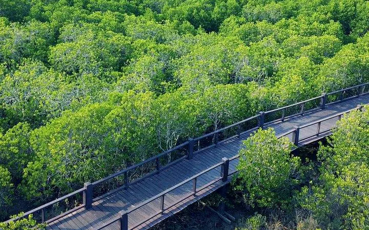 From Hua Hin: Private Pranburi River and Mangrove Forest Boat Tour with Fruit Tasting