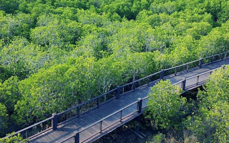 From Hua Hin: Private Pranburi River and Mangrove Forest Boat Tour with Fruit Tasting
