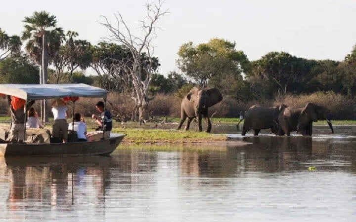 From Zanzibar: Selous/Nyerere National Park Fly-In Safari with Guided Game Drives and Bush Lunch Image 10