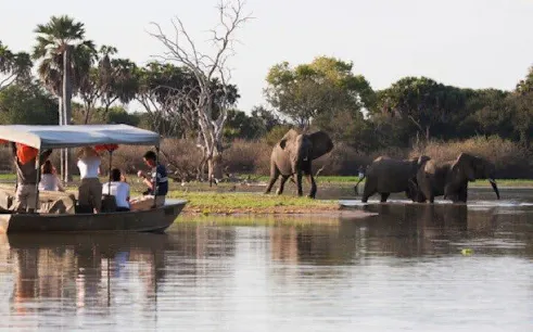 Boat safari with tourists observing elephants by a river in Selous, Tanzania.