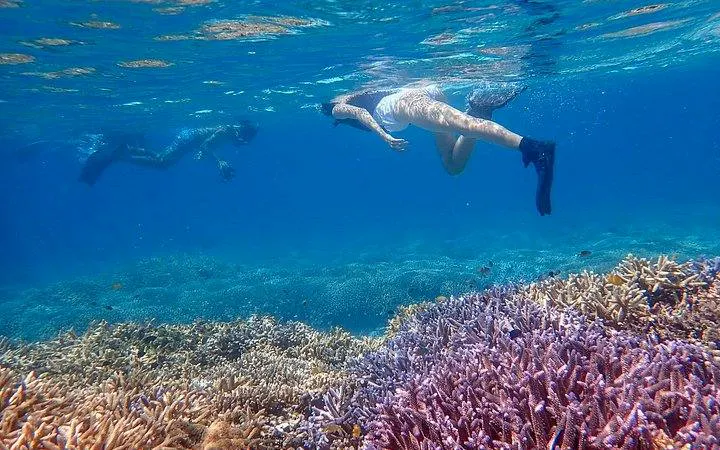 Snorkelers exploring coral reefs near Phantom Island, Ishigaki, Okinawa.