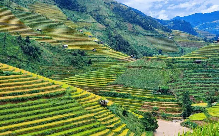 Terraced rice fields in Sapa, Vietnam, with lush green hills and distant mountains.