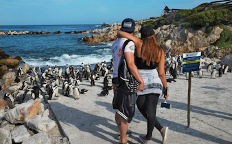 from cape town: private shark cage diving boat tour to gansbaai with hotel transfers-10